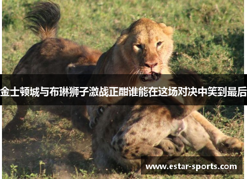 金士顿城与布琳狮子激战正酣谁能在这场对决中笑到最后